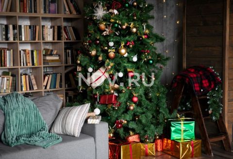 Пушистые, зеленые, твои. Новогодний гид по выбору елки