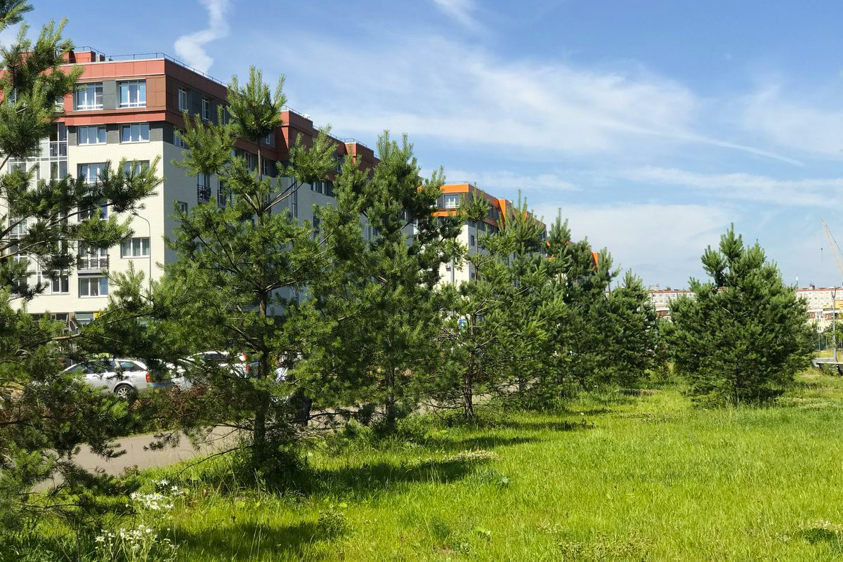 Мкр. «Красногорский»