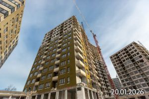 Фасадные работы