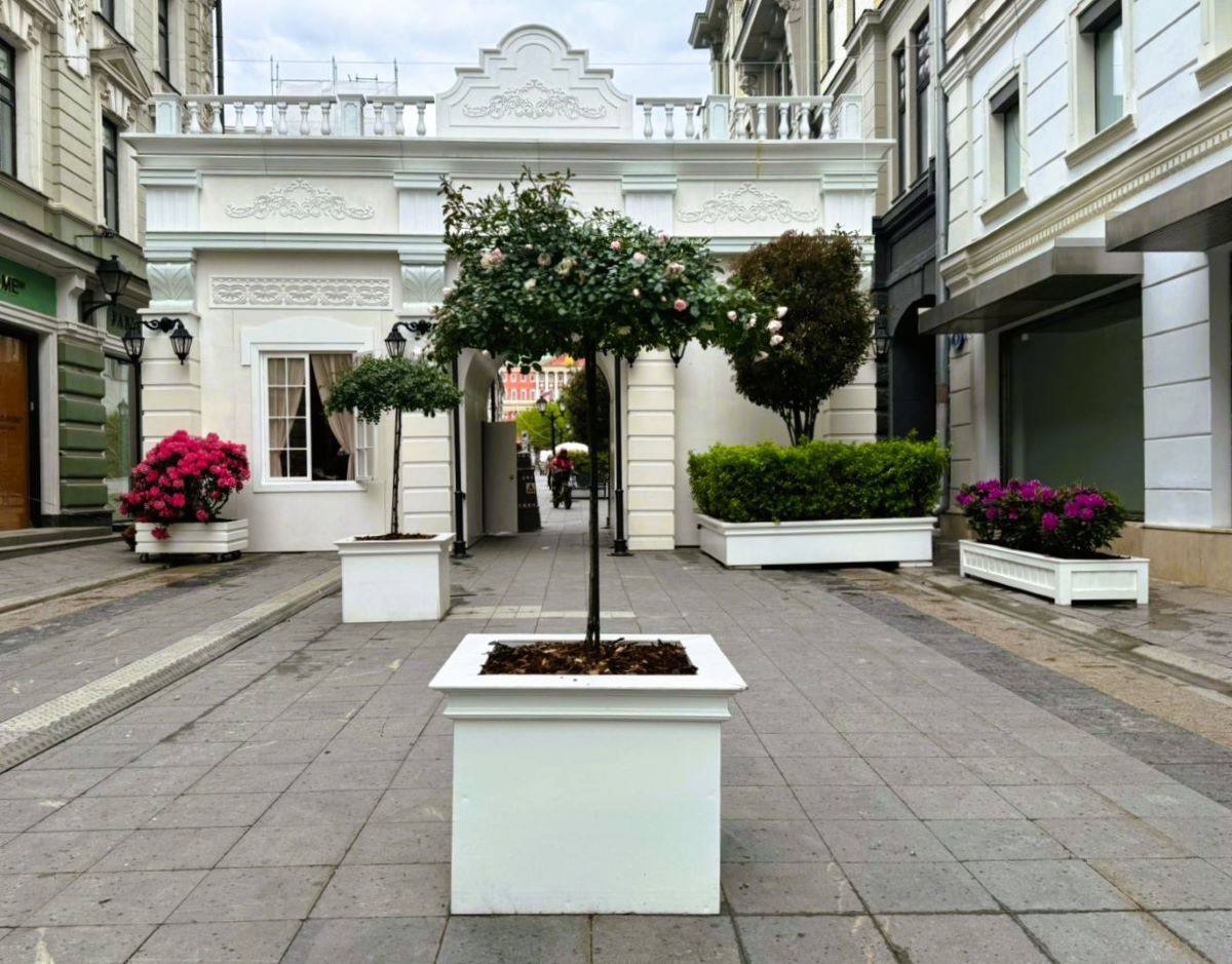 Москва расцвела: в столице проходит красивейший фестиваль «Сады и цветы»