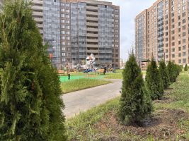 Территория ЖК, благоустройство