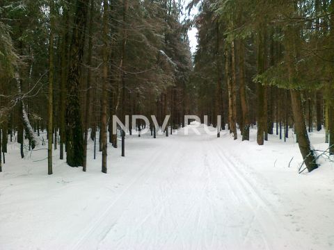 Сама дошла, на лыжах: обзор лучших подмосковных трасс