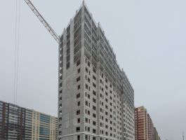 Монолитные работы, кладка стен