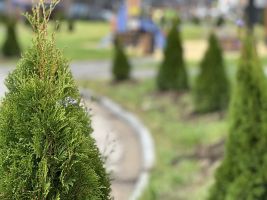 Территория ЖК, благоустройство