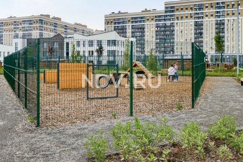 Dog friendly: как лояльная среда для животных меняет человеческое комьюнити